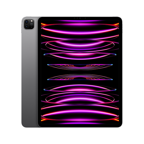 APPLE iPad Pro 32,77cm 12,9Zoll 256GB WiFi Gray M2 Chip Liquid Retina Display 2.732 x 2.048 pixel 264 ppi